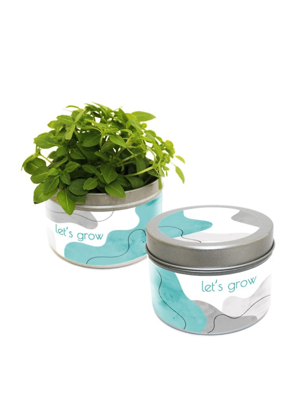 Sada pro vypěstování rostlinky v plechovce