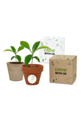 Mini rostoucí sada v krabičce