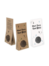 Bomba se semeny květin lákajících včely