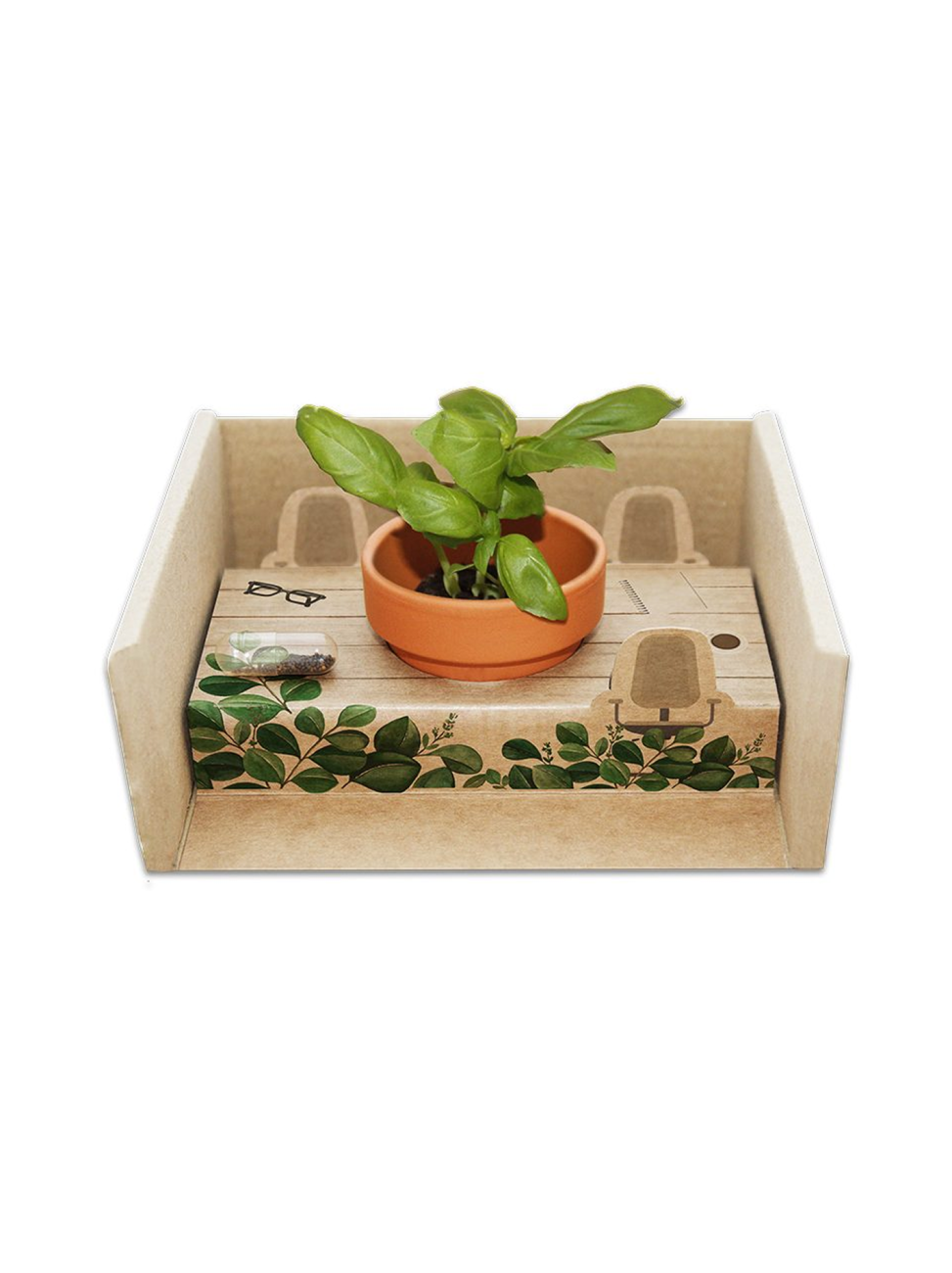 "Meeting v krabičce" - rostoucí sada