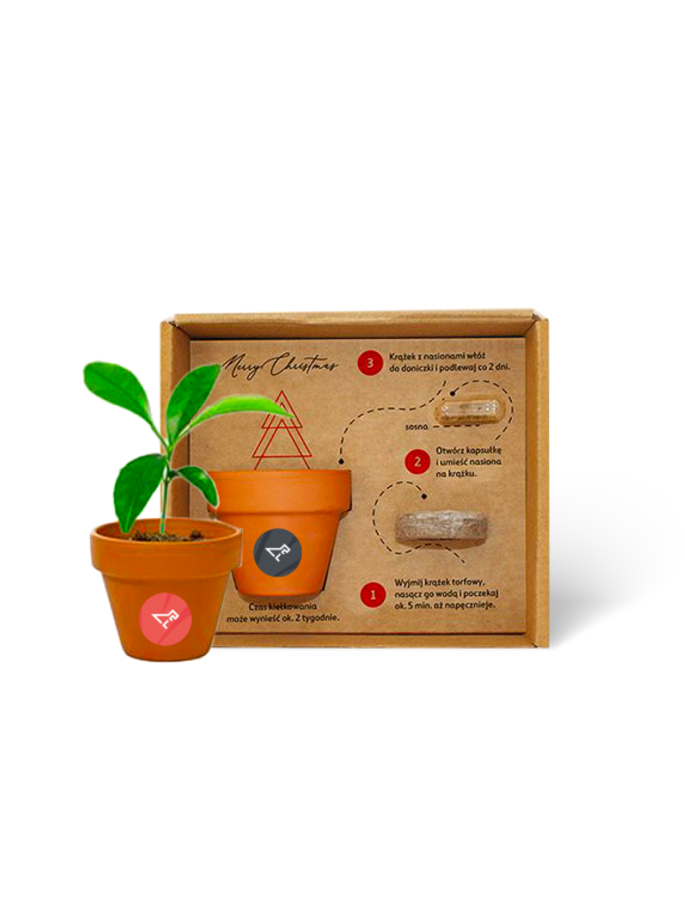 Sada pro vypěstování rostlinky v krabičce