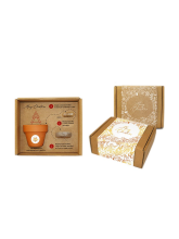 Sada pro vypěstování rostlinky v krabičce