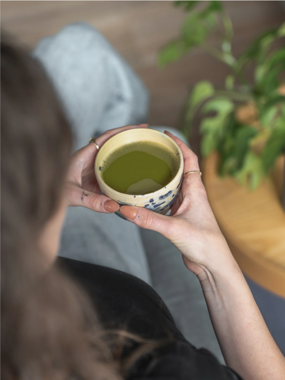 Vilgain Japonská matcha BIO