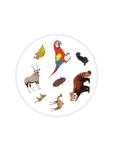 Karetní hra Dvojice